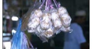 Huevos de Hawksbill en los mercados (news.bbc.co.uk)