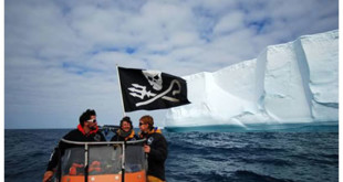 The Sea Shepherd crew in Whale Wars