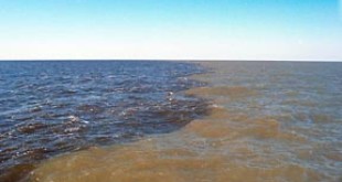 Sediment from the Mississippi River carries fertilizer to the Gulf of Mexico. Credits: Wikipedia