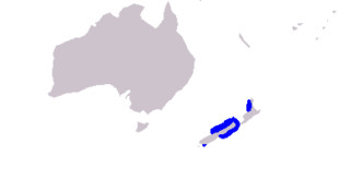 Cephalorhynchus hectori maui range. Credits: Wikipedia