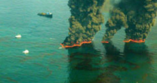 Deepwater Horizon disaster. Via Wikipedia