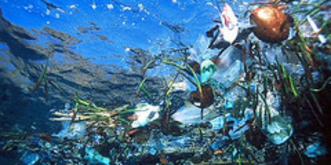 Plastic Pollution/Flickr